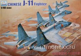 Chinese J-11 fighter