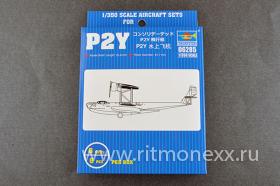 Consolidated P2Y