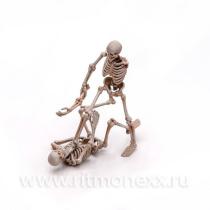Скелет, размер M