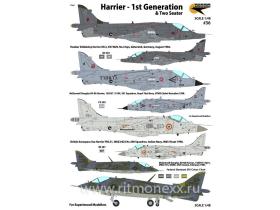 Harrier - 1st Generations & Two Seater (UK, Thailand, India, USA, Spain - 6 Markings)
