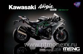 Kawasaki Ninja H2™ (Pre-colored Edition)