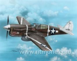 P-40F Warhawk "Guadalcanal Hawks"