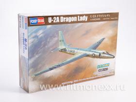 U-2A Dragon Lady